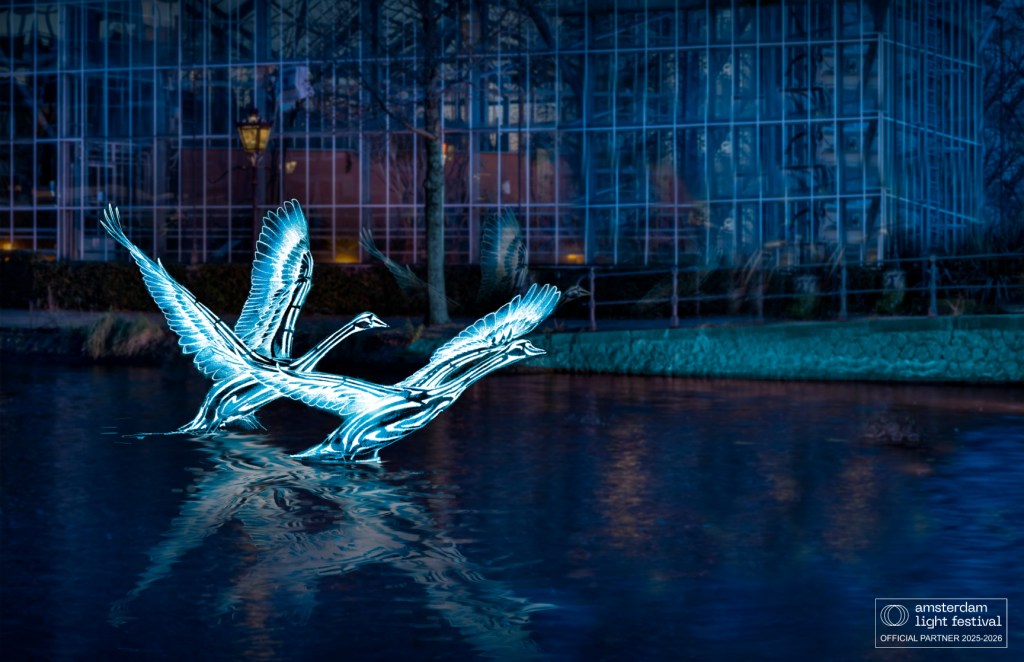Amsterdam Light Festival 2025/2026 - Swans